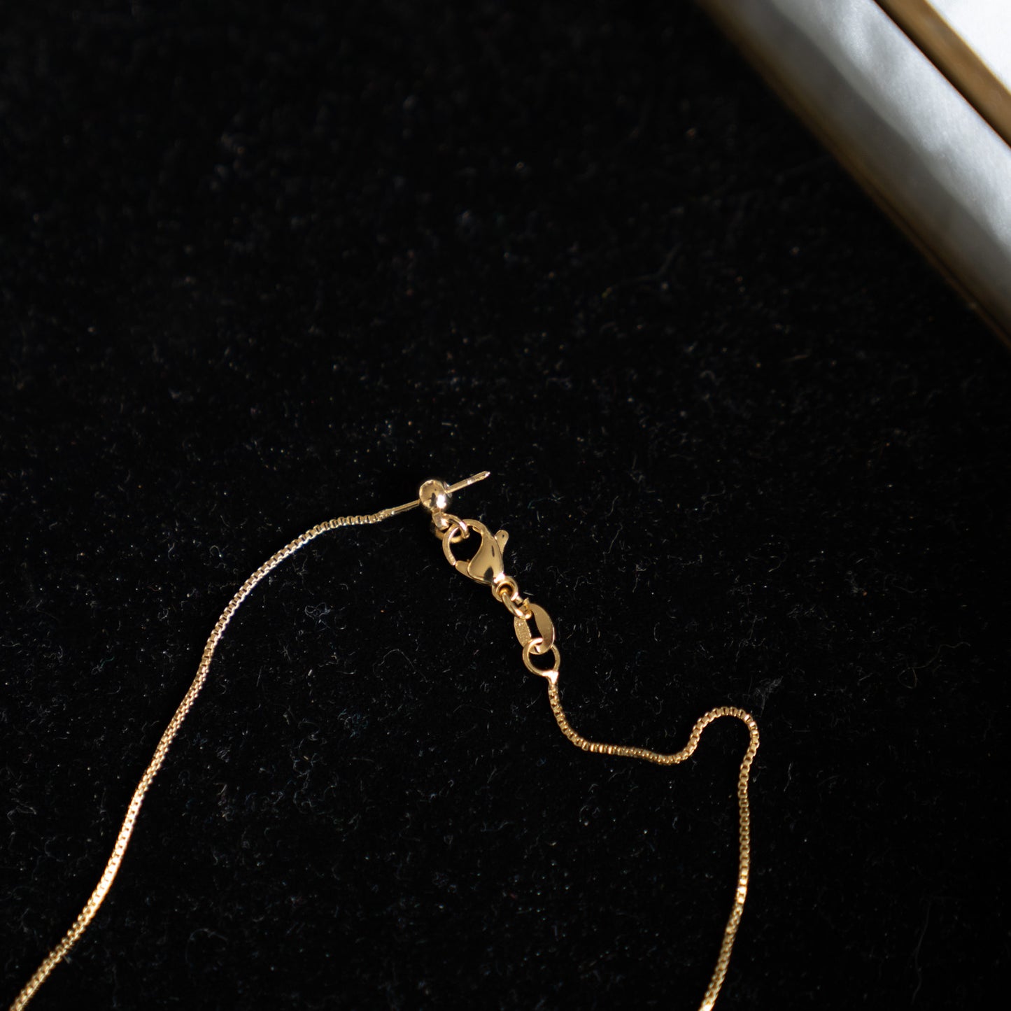 Collar Mini Luna